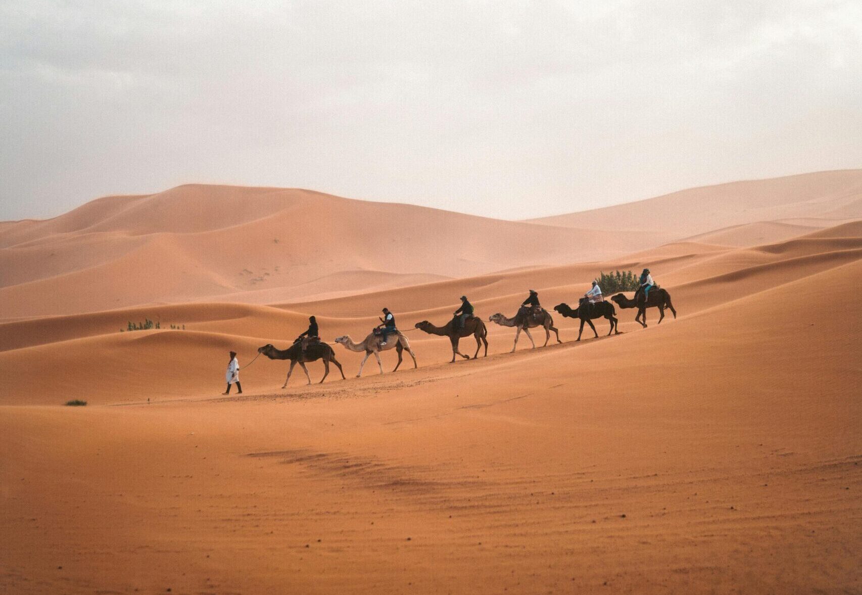 Sahara Desert Morocco