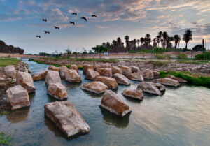 Wadi Hanifa: Riyadh’s Hidden Oasis